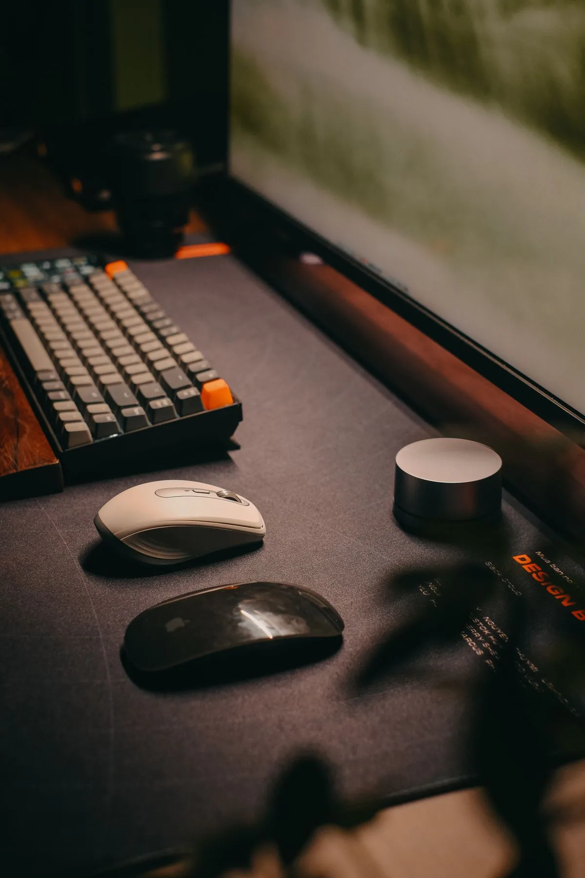 A computer keyboard and mouse on a desk